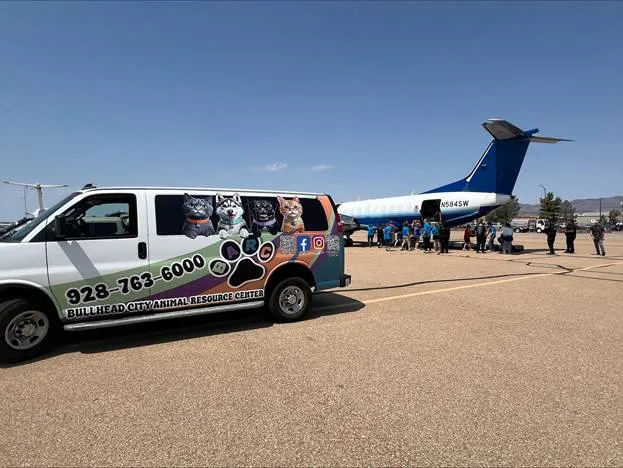 Bullhead City Animal Shelter van at Kingman Airport with rescue plane transporting Texas flood cats